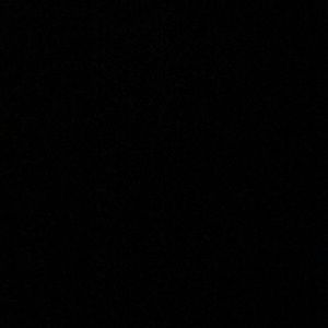 Meet your Posher, Nickyla